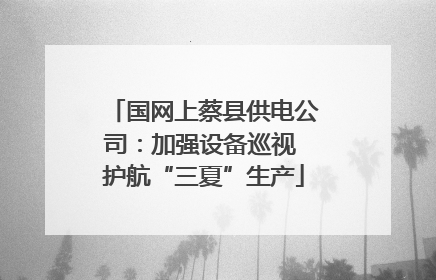 国网上蔡县供电公司：加强设备巡视 护航“三夏”生产