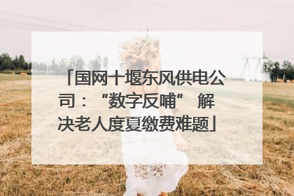 国网十堰东风供电公司：“数字反哺” 解决老人度夏缴费难题
