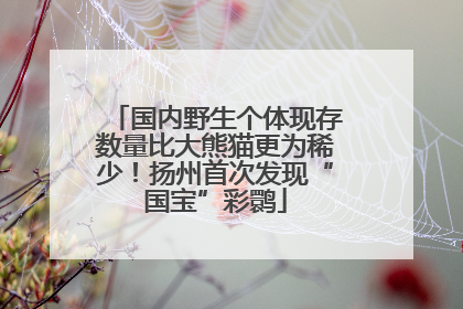 国内野生个体现存数量比大熊猫更为稀少！扬州首次发现“国宝”彩鹮