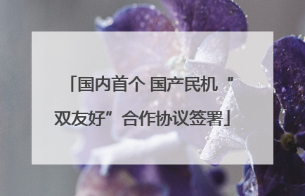 国内首个 国产民机“双友好”合作协议签署