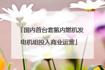 国内首台套氢内燃机发电机组投入商业运营