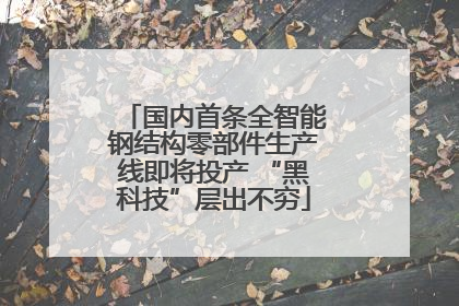 国内首条全智能钢结构零部件生产线即将投产 “黑科技”层出不穷
