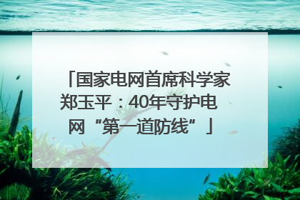 国家电网首席科学家郑玉平：40年守护电网“第一道防线”