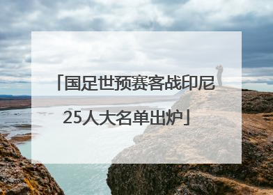 国足世预赛客战印尼25人大名单出炉