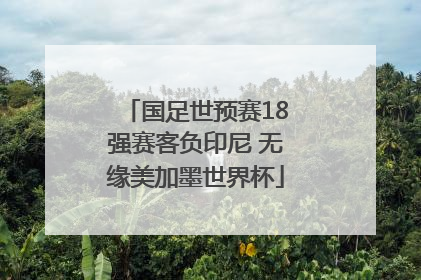 国足世预赛18强赛客负印尼 无缘美加墨世界杯