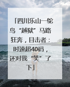 四川乐山一鸵鸟“越狱”马路狂奔，目击者：时速超40码，还对我“笑”了下