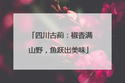 四川古蔺：椒香满山野，鱼跃出美味