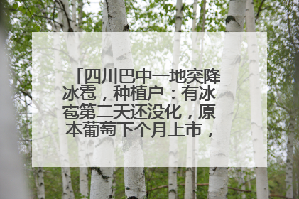 四川巴中一地突降冰雹，种植户：有冰雹第二天还没化，原本葡萄下个月上市，现在全被打落