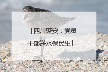 四川蓬安：党员干部送水保民生