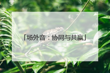 场外音：协同与共赢
