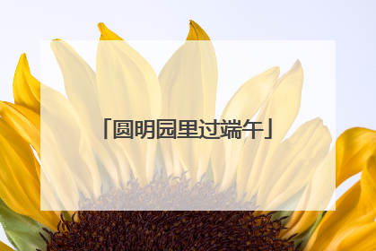 圆明园里过端午