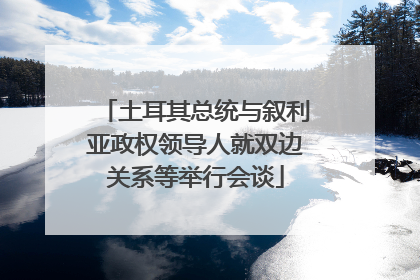 土耳其总统与叙利亚政权领导人就双边关系等举行会谈