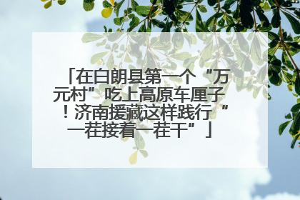 在白朗县第一个“万元村”吃上高原车厘子！济南援藏这样践行“一茬接着一茬干”