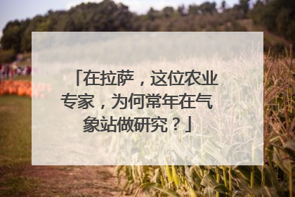 在拉萨，这位农业专家，为何常年在气象站做研究？