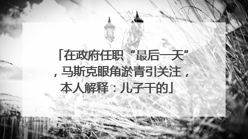 在政府任职“最后一天”，马斯克眼角淤青引关注，本人解释：儿子干的
