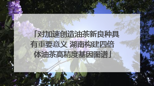 对加速创造油茶新良种具有重要意义 湖南构建四倍体油茶高精度基因图谱