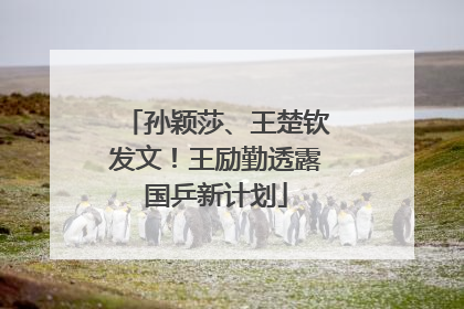 孙颖莎、王楚钦发文！王励勤透露国乒新计划