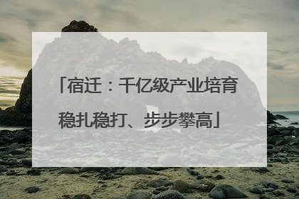 宿迁：千亿级产业培育稳扎稳打、步步攀高