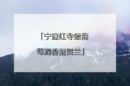 宁夏红寺堡葡萄酒香漫贺兰