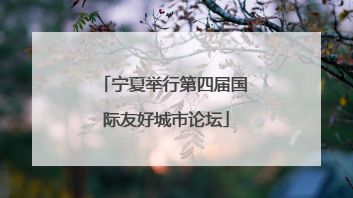 宁夏举行第四届国际友好城市论坛