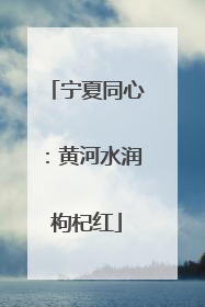 宁夏同心：黄河水润枸杞红