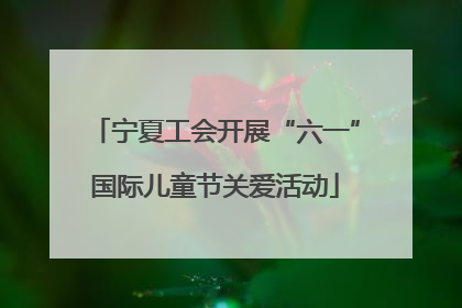 宁夏工会开展“六一”国际儿童节关爱活动
