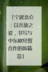 宁波北仑：以开放之姿，书写与中东欧经贸合作的新篇章