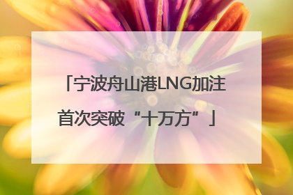 宁波舟山港LNG加注首次突破“十万方”
