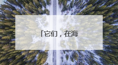 它们，在海南生机无限