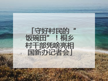 守好村民的“饭碗田”！桐乡村干部凭啥亮相国新办记者会