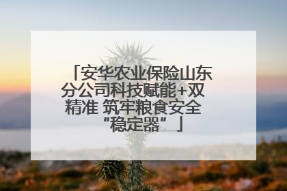 安华农业保险山东分公司科技赋能+双精准 筑牢粮食安全“稳定器”