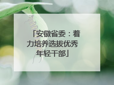 安徽省委：着力培养选拔优秀年轻干部