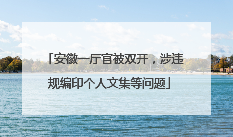 安徽一厅官被双开，涉违规编印个人文集等问题
