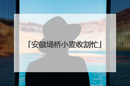 安徽埇桥小麦收割忙