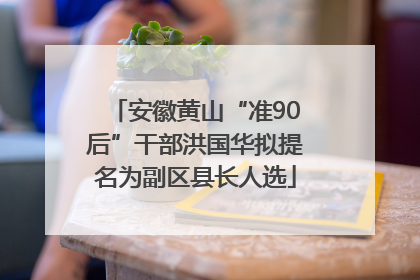 安徽黄山“准90后”干部洪国华拟提名为副区县长人选