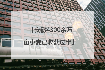 安徽4300余万亩小麦已收获过半