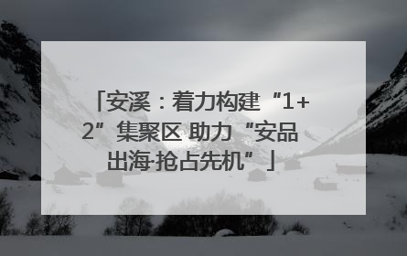 安溪：着力构建“1+2”集聚区 助力“安品出海·抢占先机”