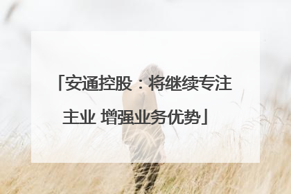安通控股：将继续专注主业 增强业务优势