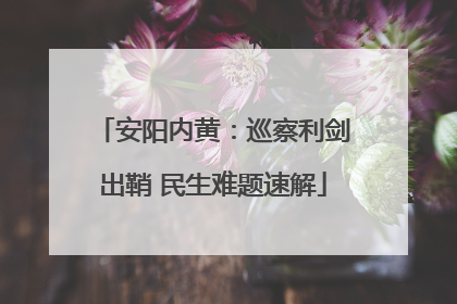 安阳内黄：巡察利剑出鞘 民生难题速解