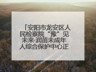 安阳市龙安区人民检察院“豫”见未来·润苗未成年人综合保护中心正式揭牌