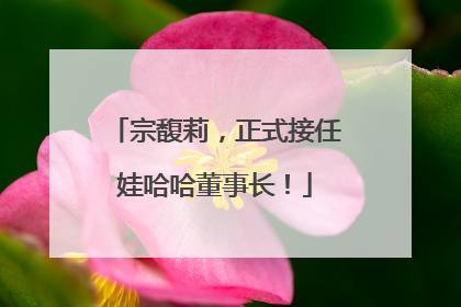 宗馥莉，正式接任娃哈哈董事长！
