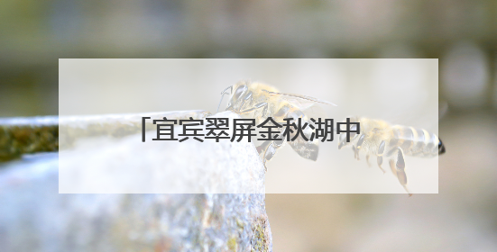 宜宾翠屏金秋湖中心校多举措筑牢“端午”假期安全防线