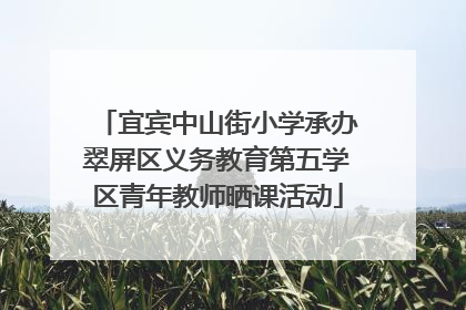 宜宾中山街小学承办翠屏区义务教育第五学区青年教师晒课活动
