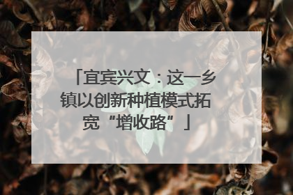宜宾兴文：这一乡镇以创新种植模式拓宽“增收路”