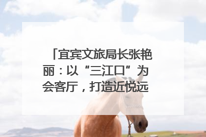 宜宾文旅局长张艳丽：以“三江口”为会客厅，打造近悦远来的国际旅游城市｜文旅局长说