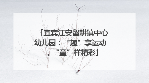 宜宾江安留耕镇中心幼儿园：“趣”享运动，“童”样精彩