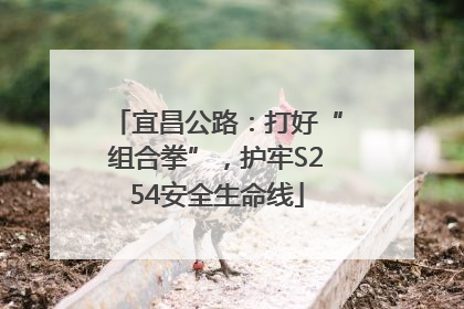 宜昌公路：打好“组合拳”，护牢S254安全生命线