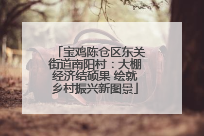 宝鸡陈仓区东关街道南阳村：大棚经济结硕果 绘就乡村振兴新图景