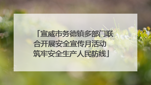 宣威市务德镇多部门联合开展安全宣传月活动 筑牢安全生产人民防线