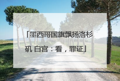 墨西哥国旗飘扬洛杉矶 白宫：看，罪证